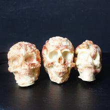 Lade das Bild in den Galerie-Viewer, Schokoladenschädel Red Velvet